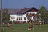 WT 4400 390-37 Germany 3.jpg (271470 bytes)
